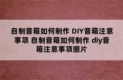 自制音箱如何制作 DIY音箱注意事项 自制音箱如何制作 diy音箱注意事项图片